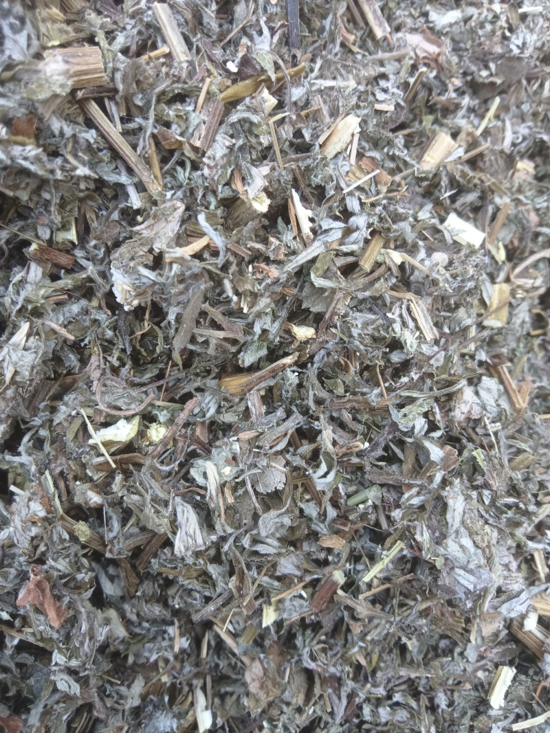 全棵小艾叶0.6刀口大量供应一手货源量大从优支持视频