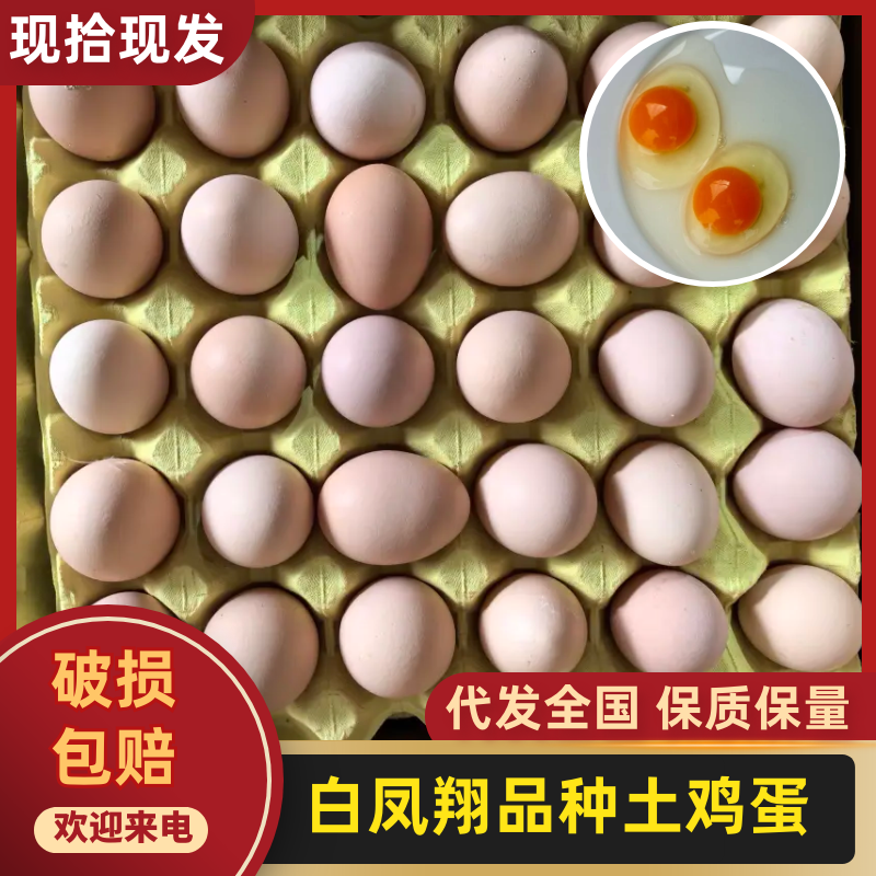【量大优惠】浙江优森源白凤翔土鸡蛋品质保障对接全国