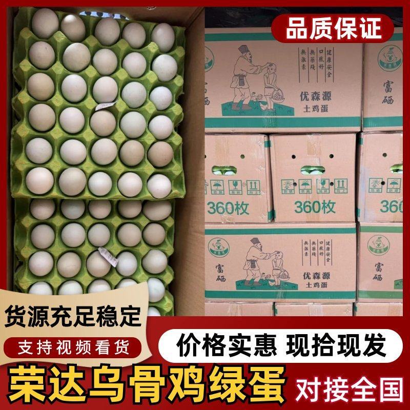 【品质保障】优森源乌骨绿壳鸡蛋，大量供应，对接全国