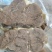 全熟牛花腱山东全熟牛脸肉一手货源品质保证肉质量好全国发货