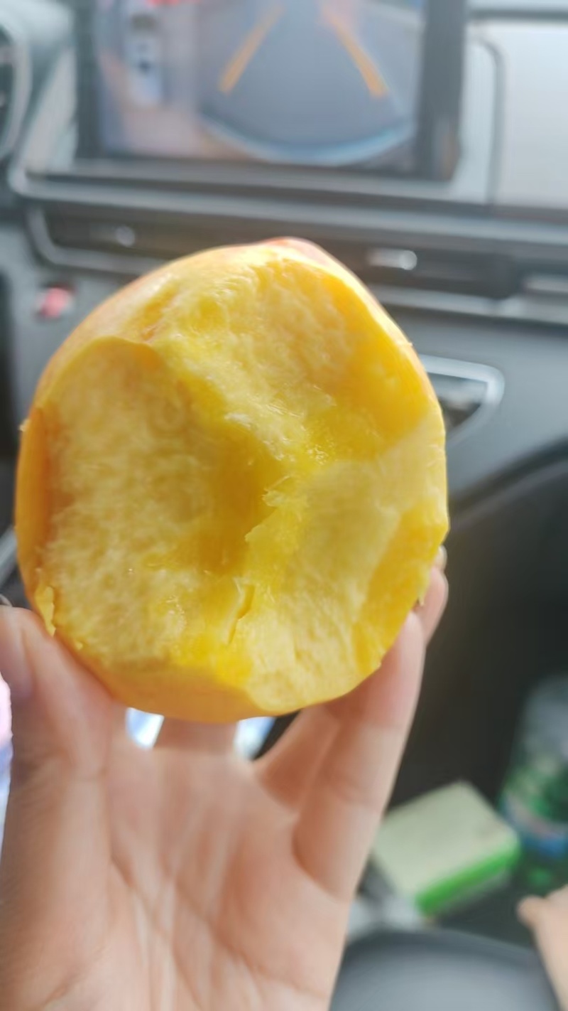 大量上市油盘桃黄油桃