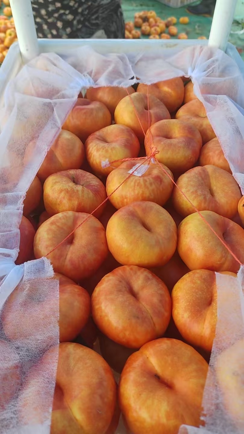 大量上市油盘桃黄油桃