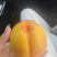 大量上市油盘桃黄油桃
