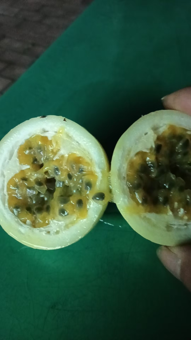 【实力】湛江廉江百香果货源充足/广东钦蜜9号保质保量