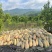 蜜本南瓜产地一手货源规格齐全，现摘现发，价格可谈代发全国
