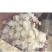 皂角米产地大量批发皂角米，长期大货供应，