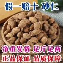 砂仁中药材砂仁香料砂仁大货供应