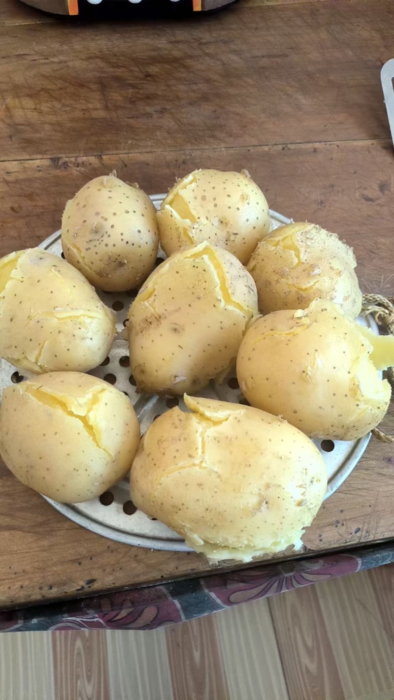 甘肃土豆