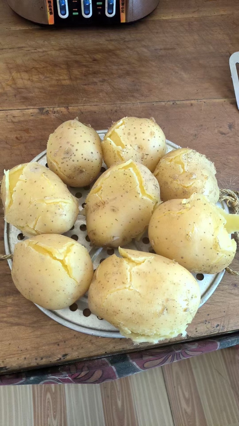 甘肃土豆