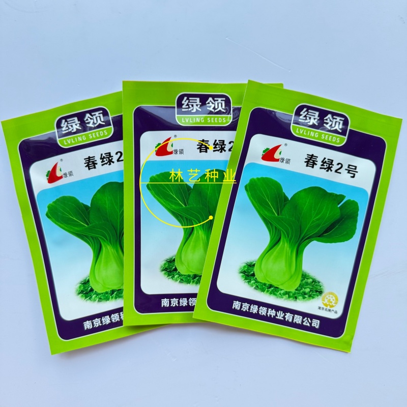春绿2号青梗菜种子植株直立紧凑束腰抗病小青菜籽