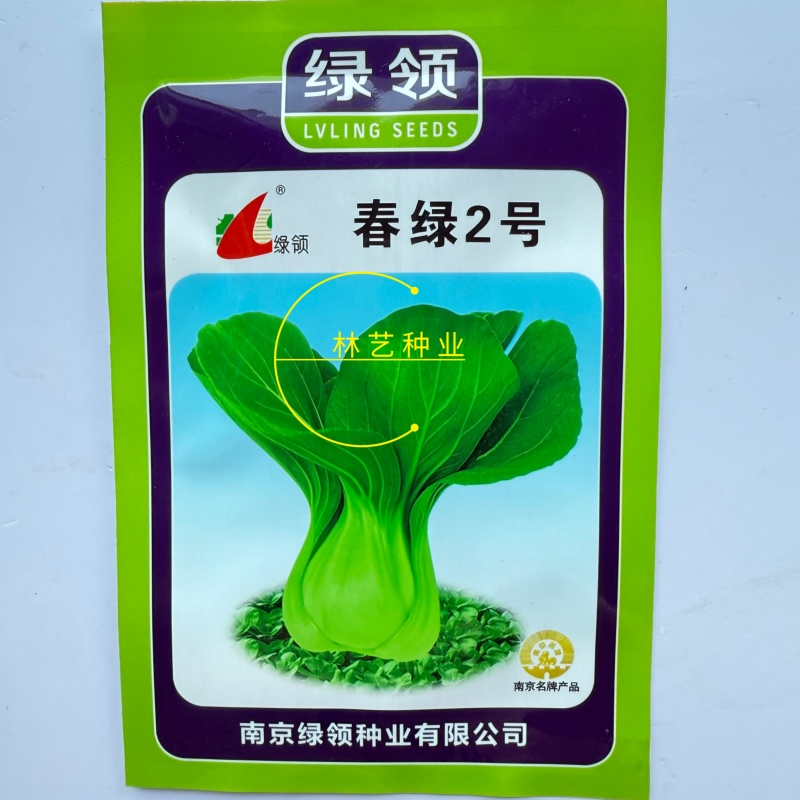 春绿2号青梗菜种子植株直立紧凑束腰抗病小青菜籽