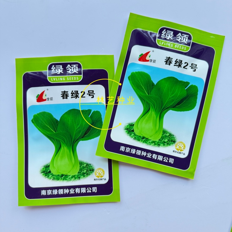 春绿2号青梗菜种子植株直立紧凑束腰抗病小青菜籽