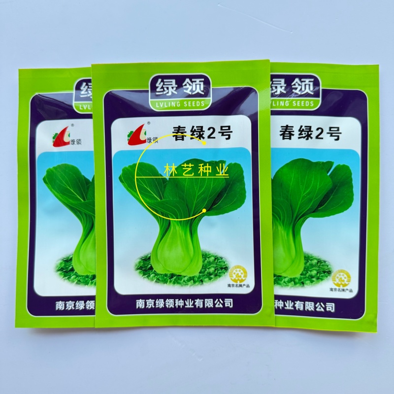 春绿2号青梗菜种子植株直立紧凑束腰抗病小青菜籽