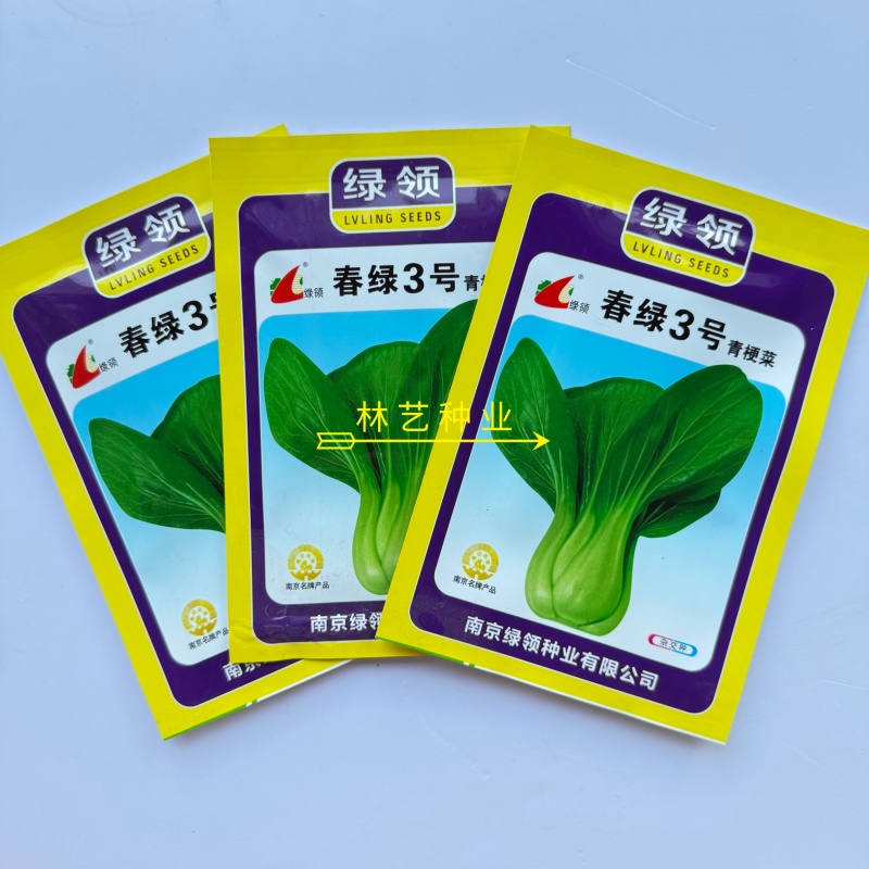 春绿3号青菜种子抗病束腰直立青梗菜种籽农家四季蔬菜种