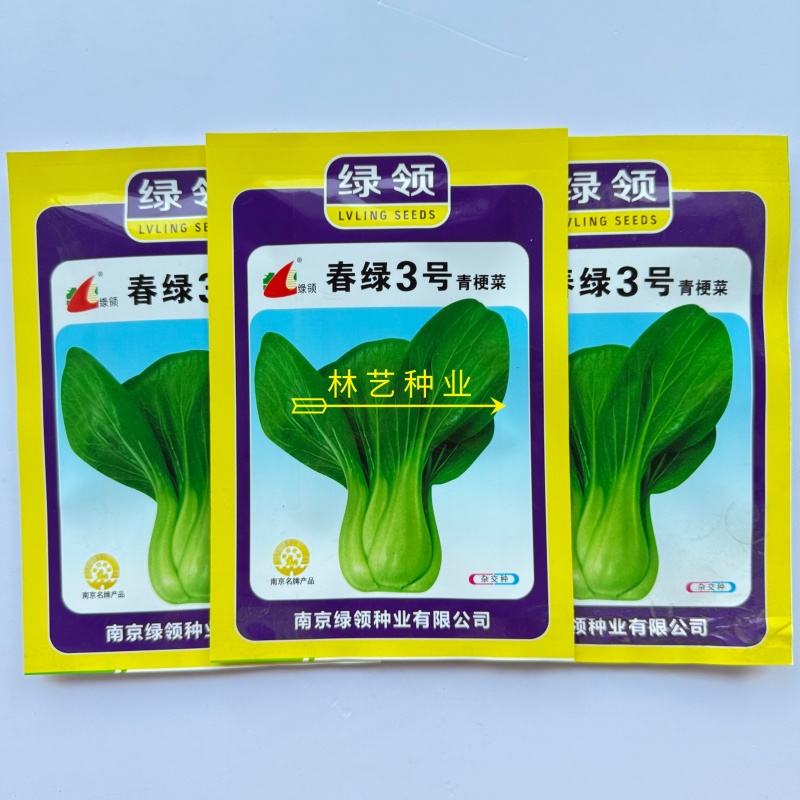 春绿3号青菜种子抗病束腰直立青梗菜种籽农家四季蔬菜种