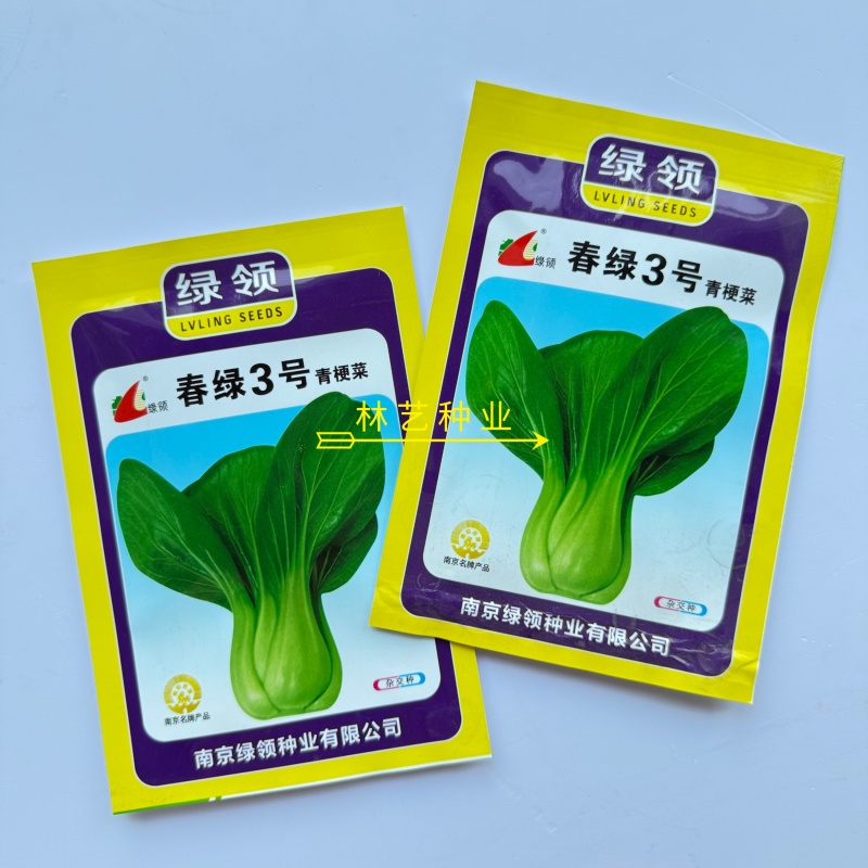 春绿3号青菜种子抗病束腰直立青梗菜种籽农家四季蔬菜种