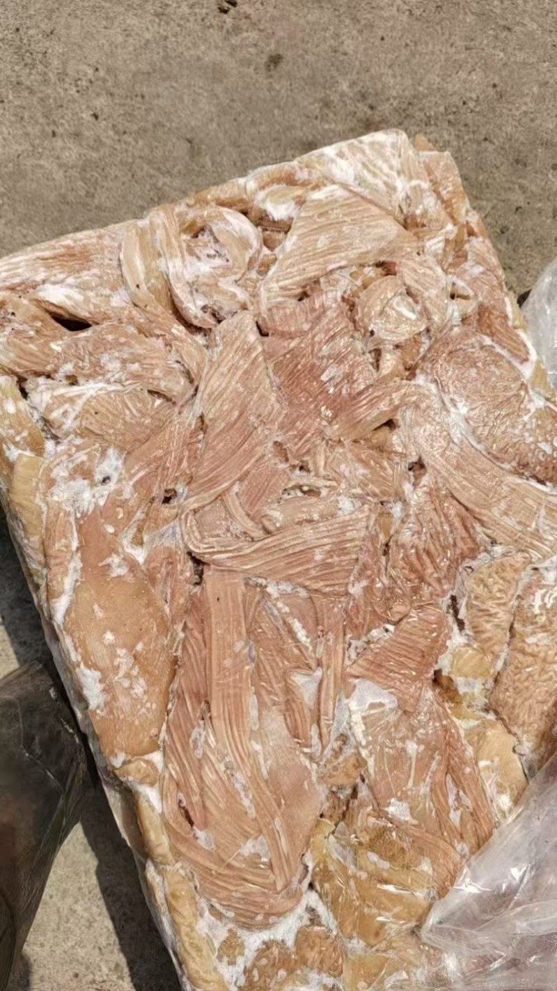 【熟牛肠】牛小肠，牛大肠，量大从优，欢迎老板们光临！
