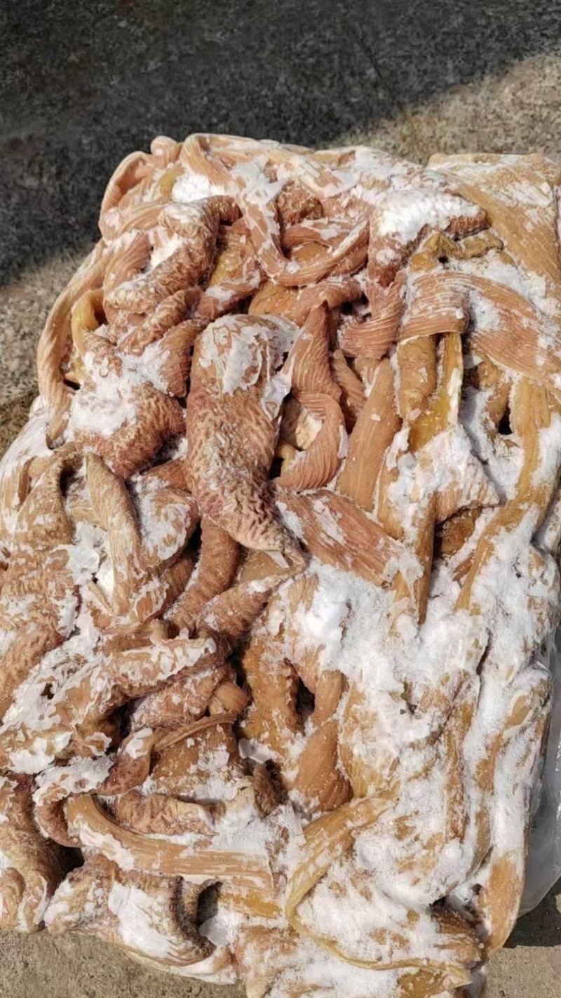 【熟牛肠】牛小肠，牛大肠，量大从优，欢迎老板们光临！