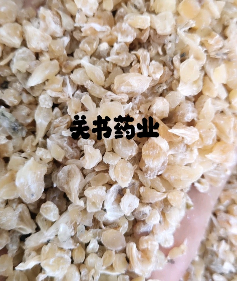薤白新货圆果关书药材批发中药材