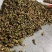 无花果条干