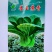 墨玉苏香一代杂交苏州青种子油亮耐寒青菜油菜种籽耐抽薹