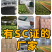 滇红茶试喝装云南凤庆滇红茶茶叶协会品牌授权厂家