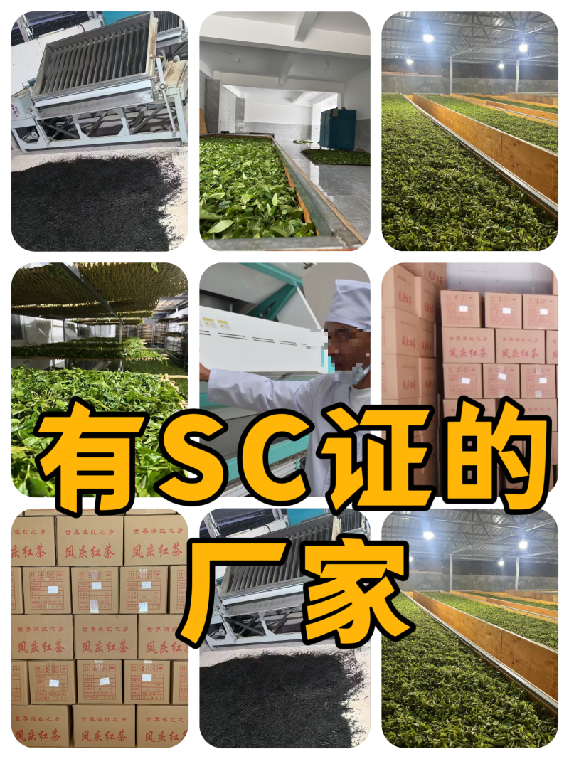 滇红茶试喝装云南凤庆滇红茶茶叶协会品牌授权厂家