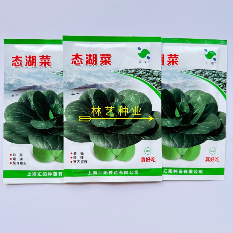 态湖菜青菜种子油亮矮脚苏州青种籽耐寒阳台庭院四季播种