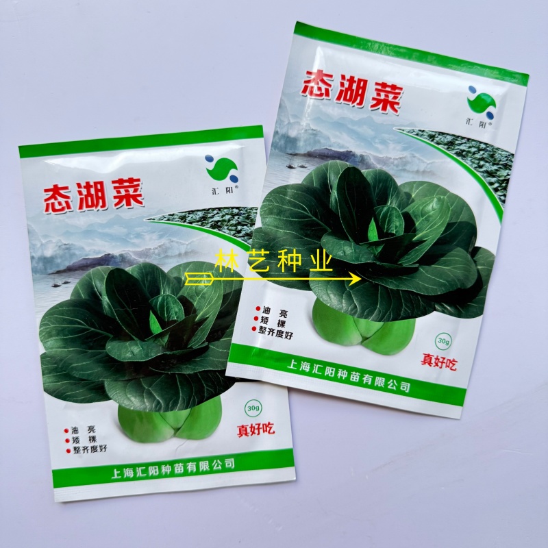 态湖菜青菜种子油亮矮脚苏州青种籽耐寒阳台庭院四季播种