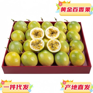 一件代发广西钦蜜9号黄金百香果供应淘宝抖音直播拼多多等