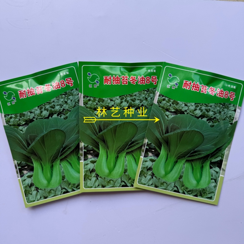 耐抽苔冬油8号青梗菜种子优质高产抗病耐抽商品性佳农家冬春