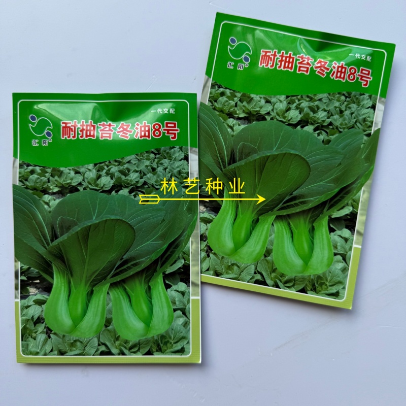 耐抽苔冬油8号青梗菜种子优质高产抗病耐抽商品性佳农家冬春