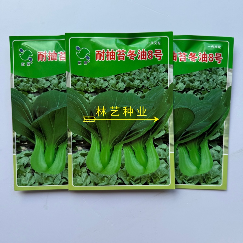 耐抽苔冬油8号青梗菜种子优质高产抗病耐抽商品性佳农家冬春