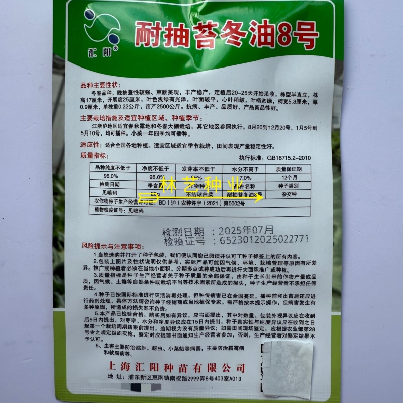 耐抽苔冬油8号青梗菜种子优质高产抗病耐抽商品性佳农家冬春