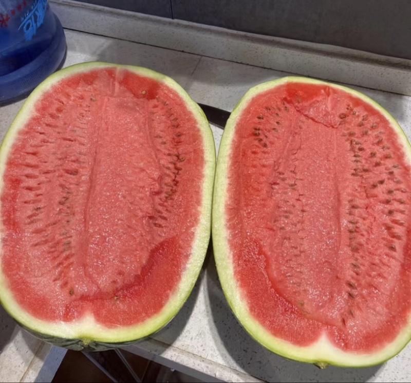 宁夏中卫产地精品石头瓜大量供应，硒沙，金城