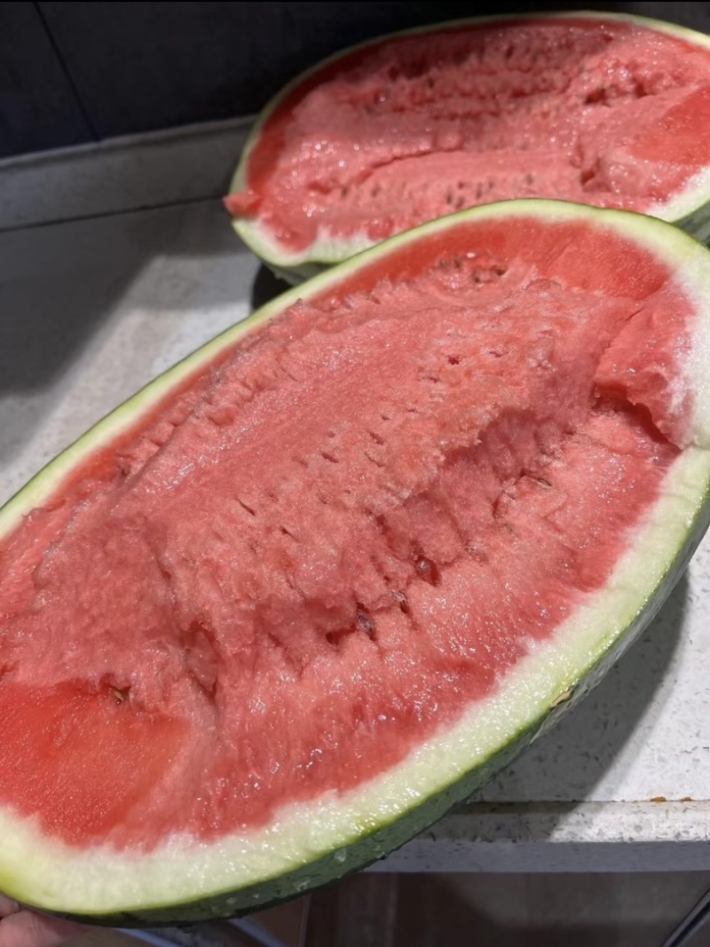 宁夏中卫产地精品石头瓜大量供应，硒沙，金城