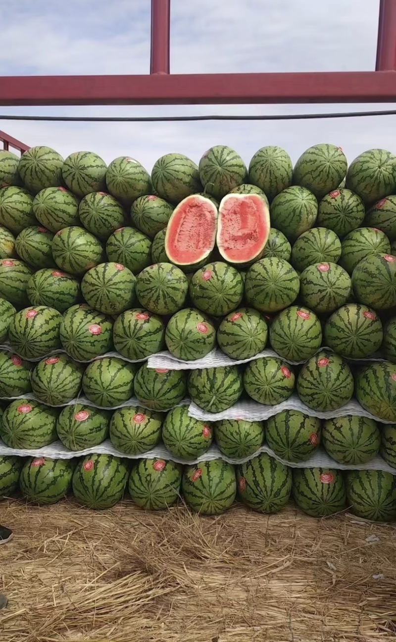 宁夏中卫产地精品石头瓜大量供应，硒沙，金城