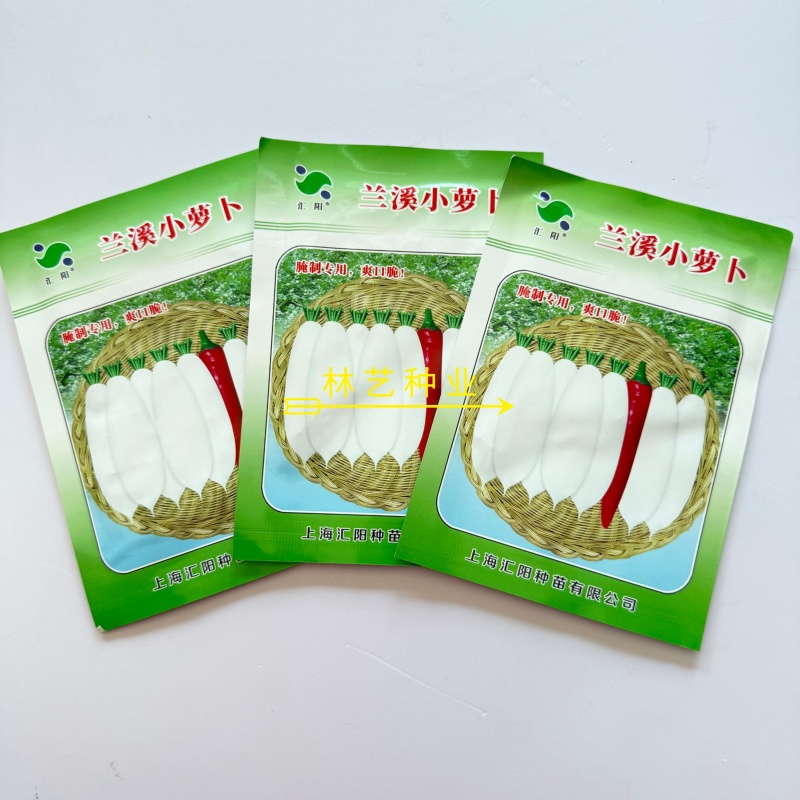 兰溪小萝卜种子腌制泡菜专用特产白萝卜籽种拇指萝卜种孑