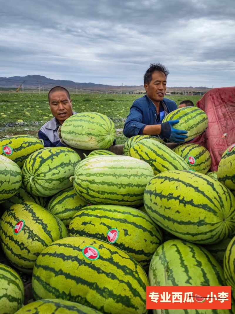 石头硒砂瓜，产地一手货源，品质优，口感甜，量大从优