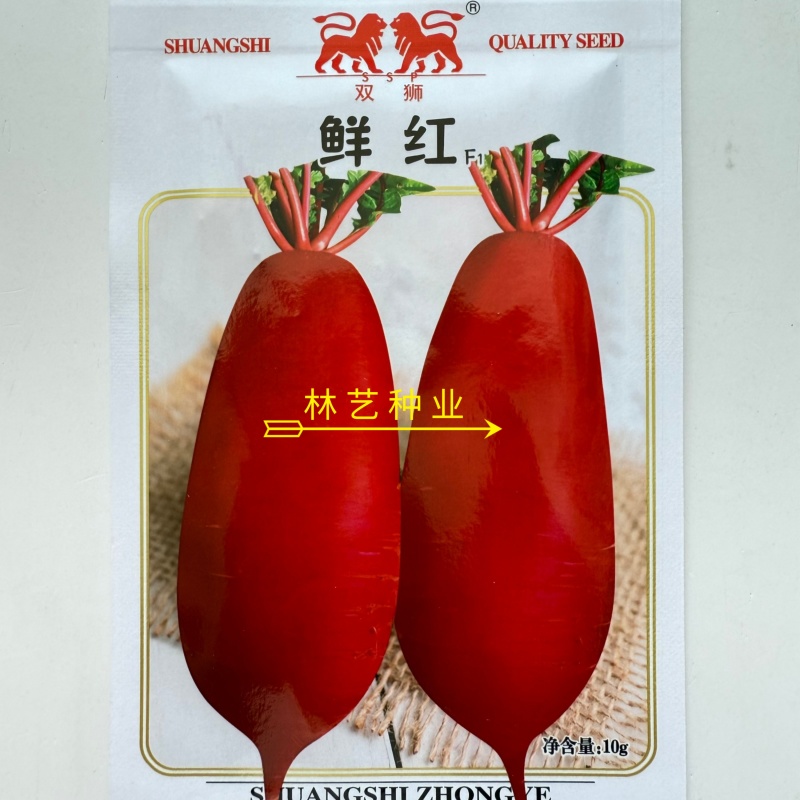鲜红萝卜种子抗病耐热红皮白肉高产杂交萝卜种子农家秋季