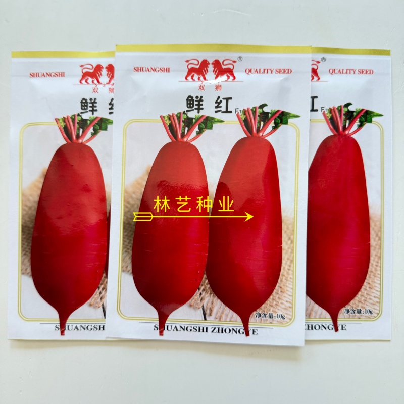 鲜红萝卜种子抗病耐热红皮白肉高产杂交萝卜种子农家秋季