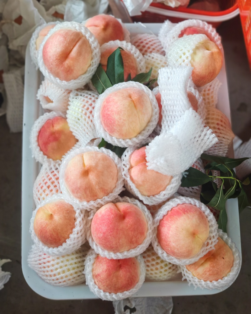 蟠桃，水蜜桃，自家果园***********