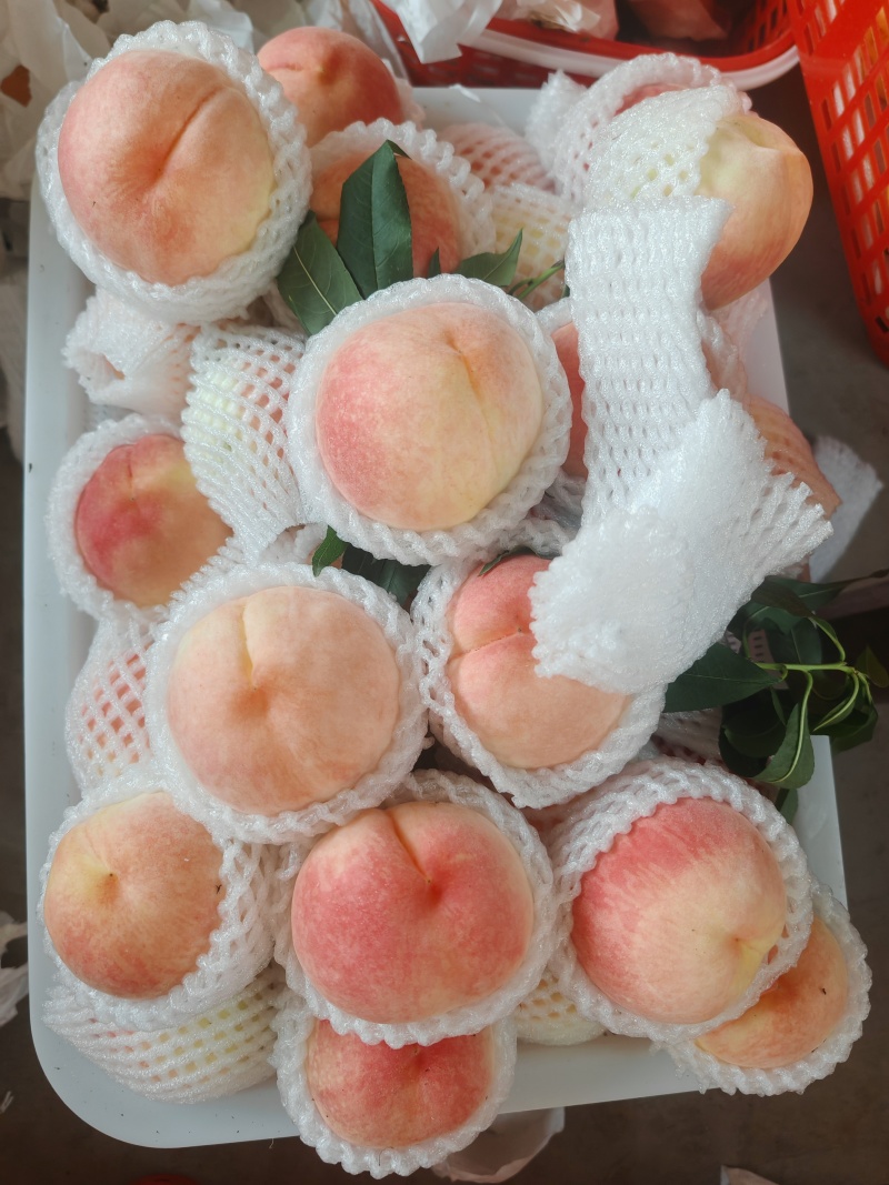 蟠桃，水蜜桃，自家果园***********