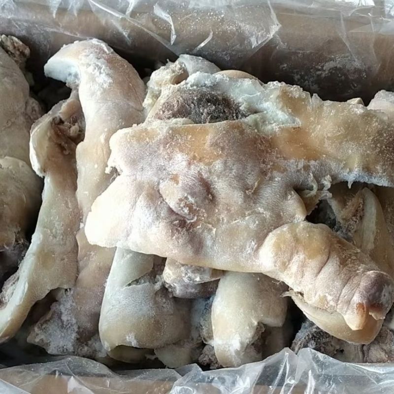 冷冻新鲜猪头肉半成品猪头肉去骨猪毛重19斤左右卤