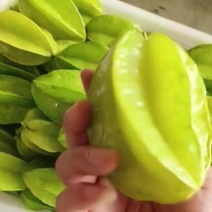 杨桃