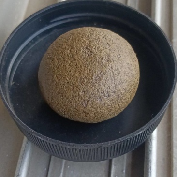 放养黑山羊羊宝，羊结石