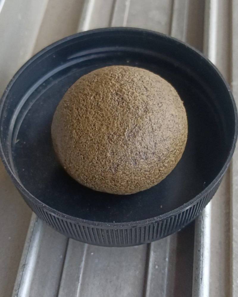 放养黑山羊羊宝，羊结石
