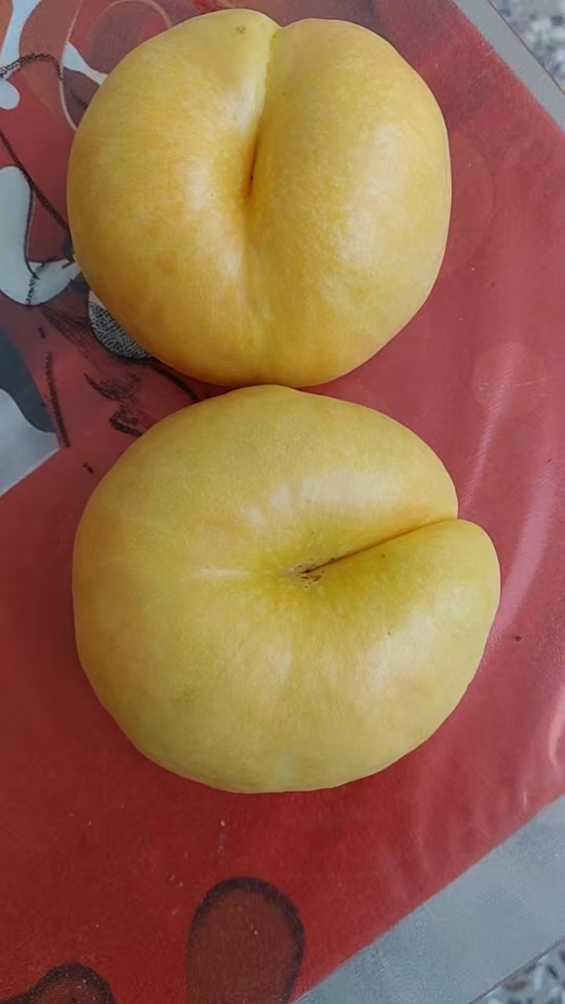 纸袋油蟠七大量上市了，果面干净，口感脆甜，爽口多汁，量大