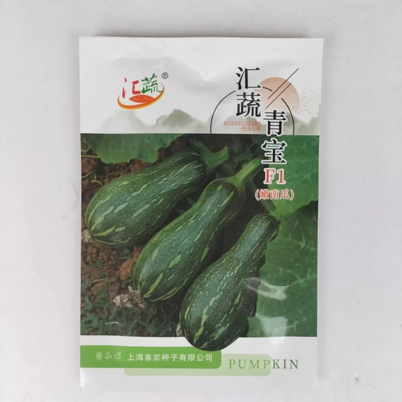 汇蔬青宝F1嫩南瓜种子嫩绿皮高产蜜本南瓜种籽春夏季蔬菜早