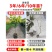 龙眼树苗嫁接盆栽水果树苗储良桂圆石硖南方四季